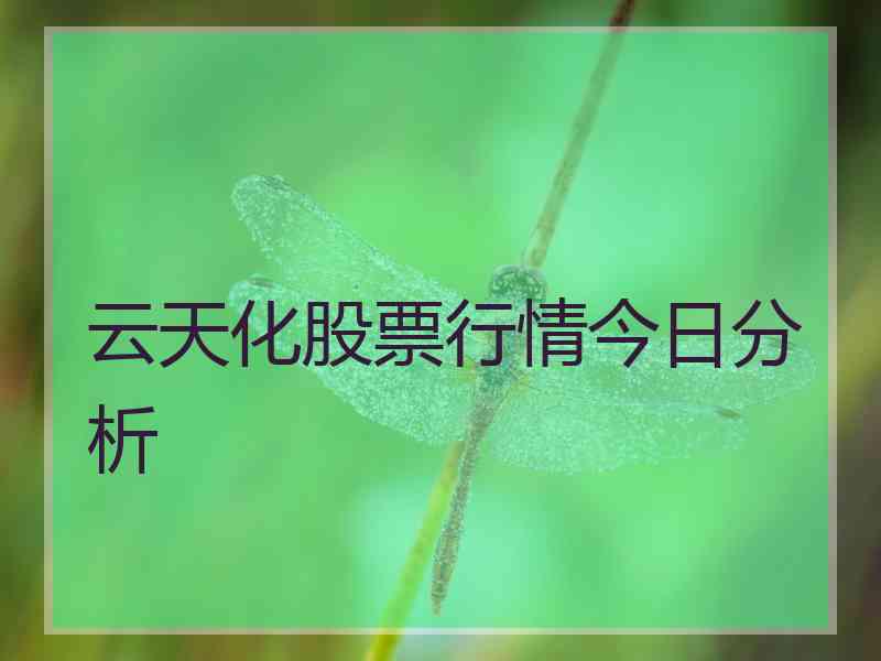 云天化股票行情今日分析