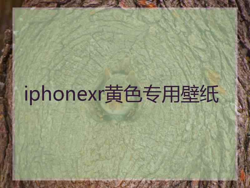 iphonexr黄色专用壁纸