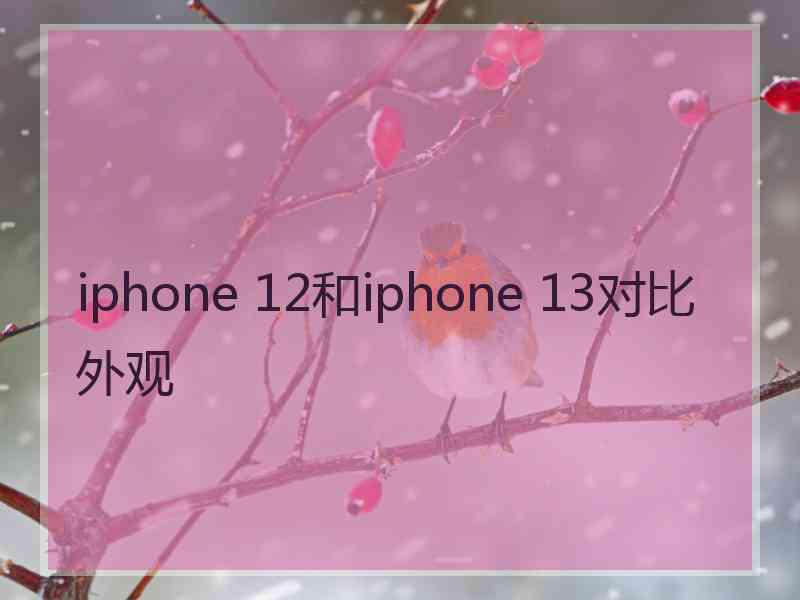 iphone 12和iphone 13对比外观