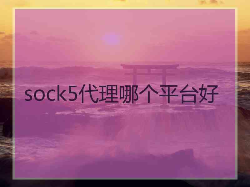 sock5代理哪个平台好