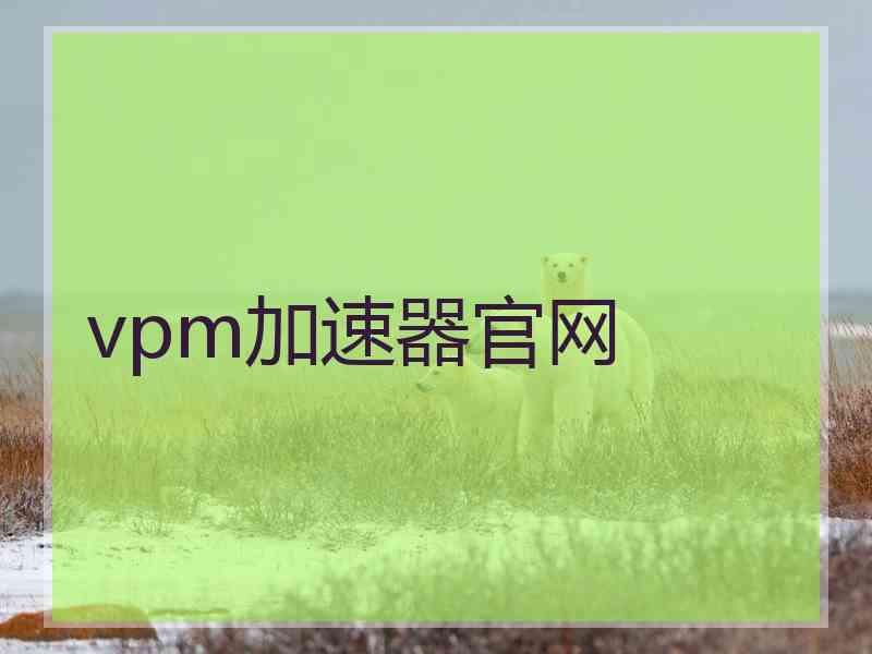 vpm加速器官网