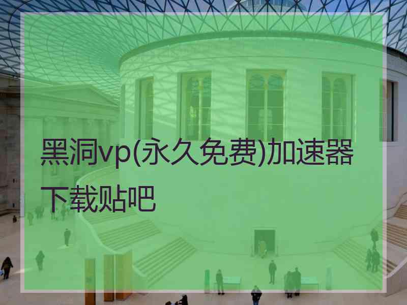 黑洞vp(永久免费)加速器下载贴吧