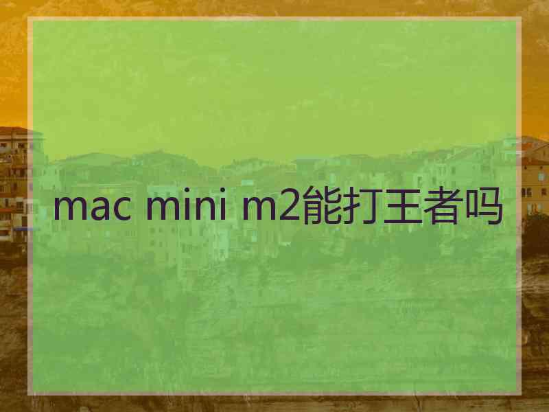 mac mini m2能打王者吗