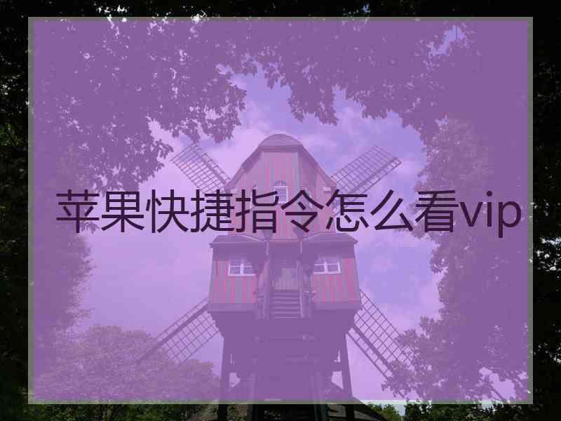 苹果快捷指令怎么看vip