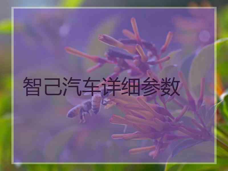 智己汽车详细参数