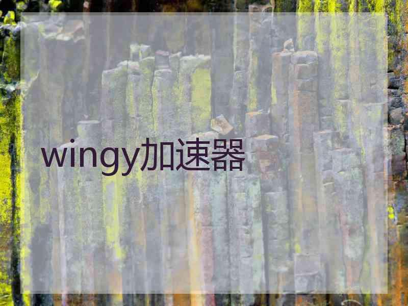 wingy加速器