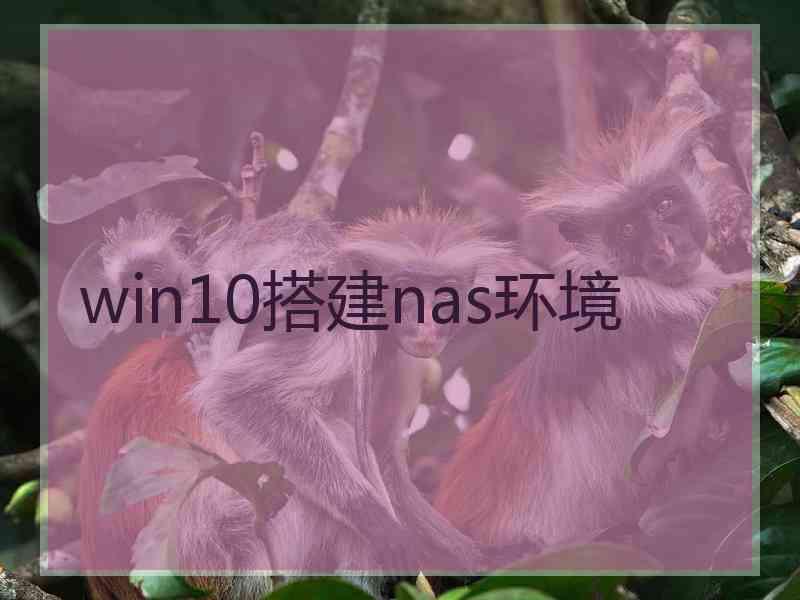 win10搭建nas环境