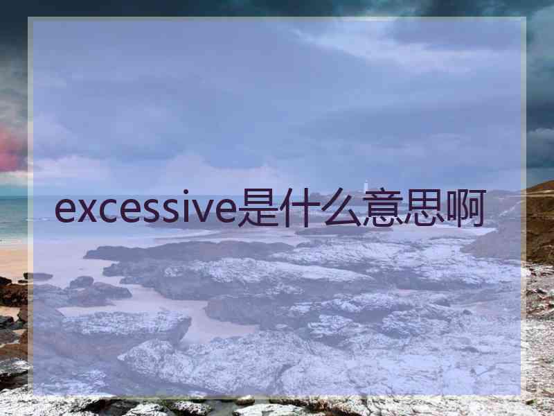 excessive是什么意思啊