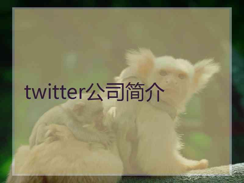 twitter公司简介