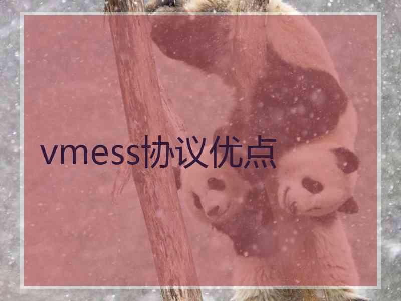 vmess协议优点