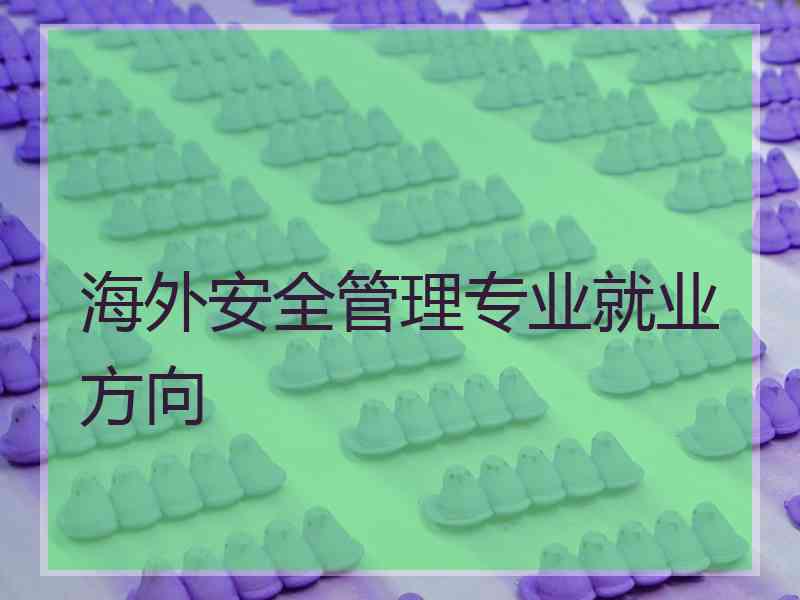 海外安全管理专业就业方向