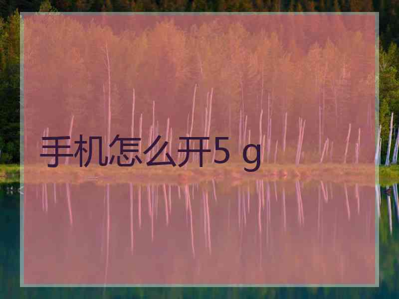 手机怎么开5 g