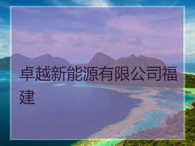 卓越新能源有限公司福建