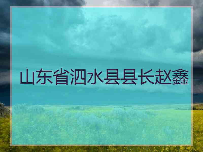 山东省泗水县县长赵鑫