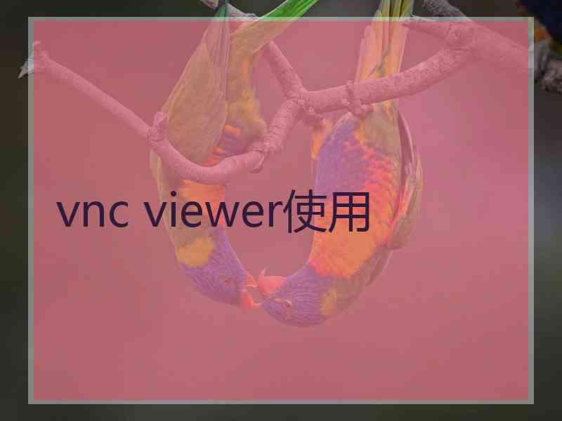 vnc viewer使用