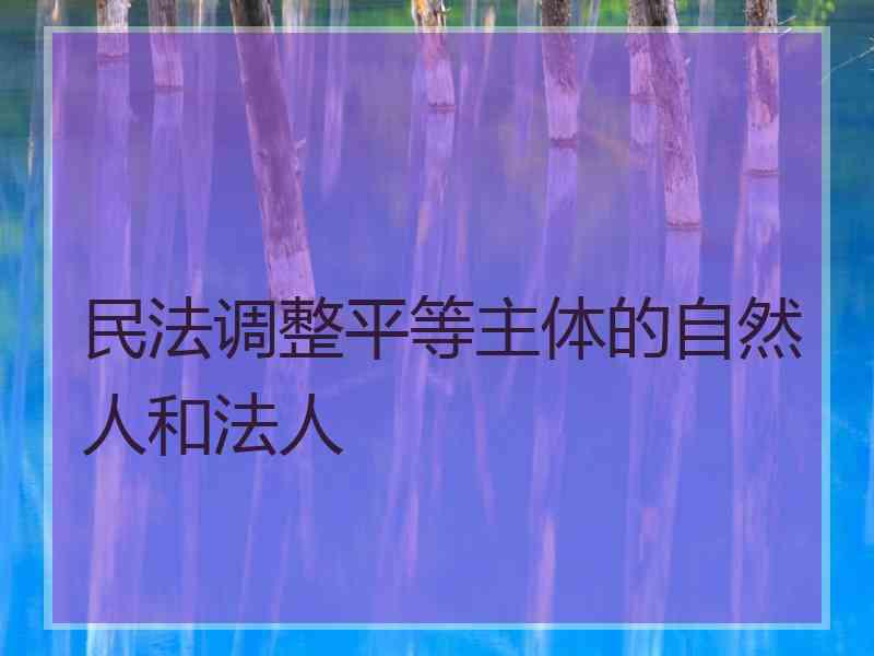 民法调整平等主体的自然人和法人