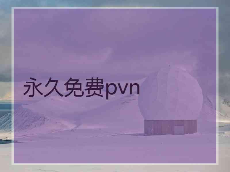 永久免费pvn