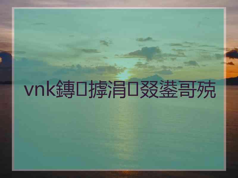 vnk鏄摢涓叕鍙哥殑