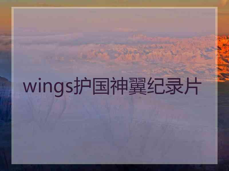 wings护国神翼纪录片