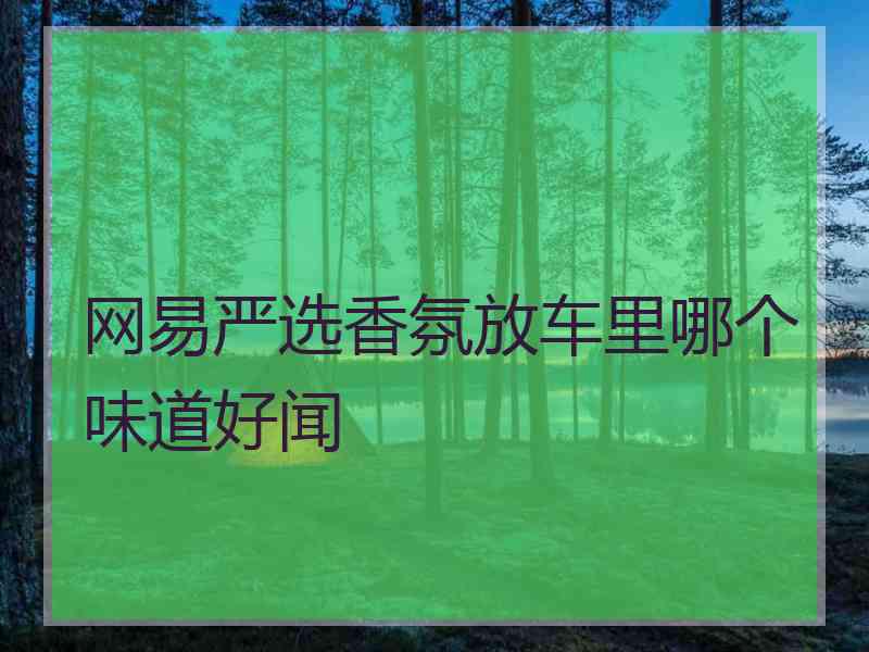 网易严选香氛放车里哪个味道好闻