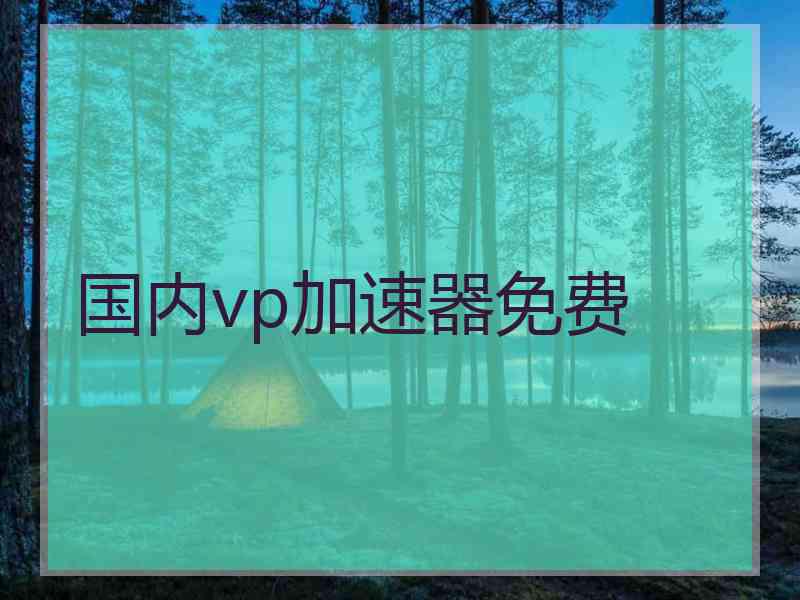 国内vp加速器免费