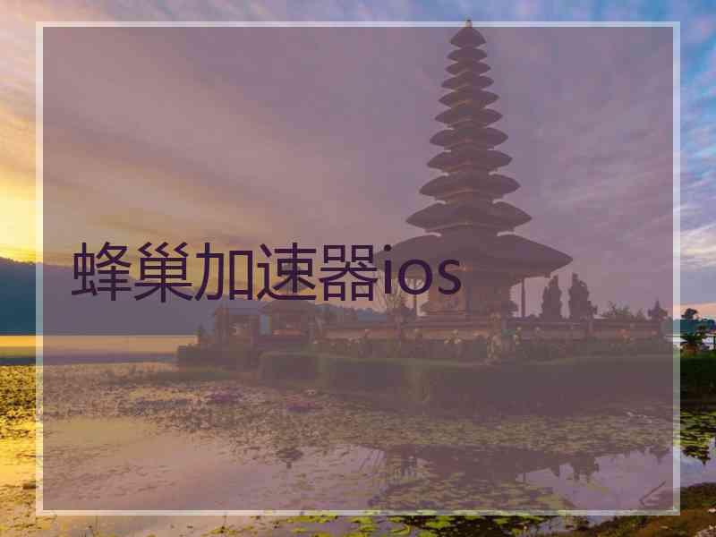 蜂巢加速器ios