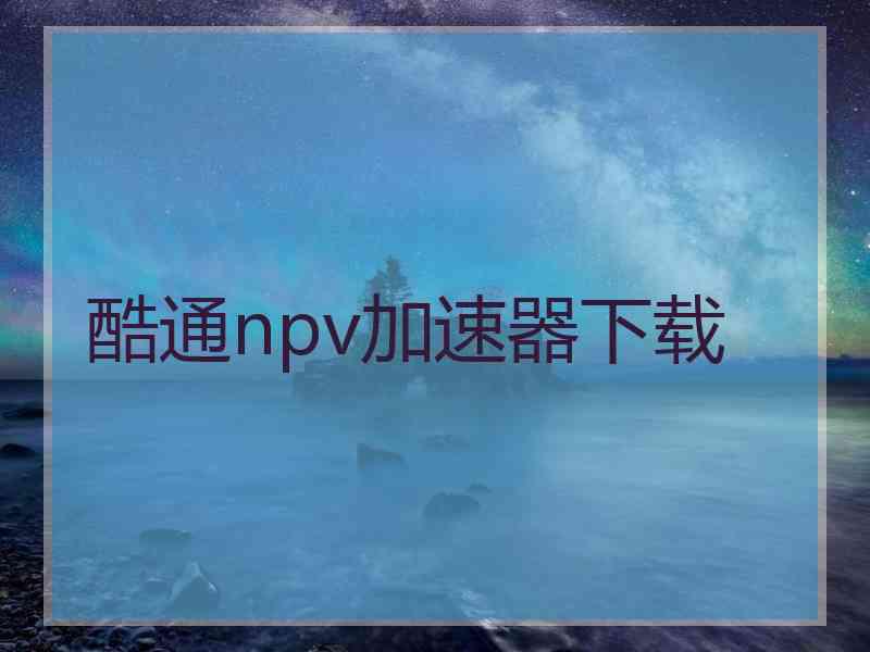 酷通npv加速器下载