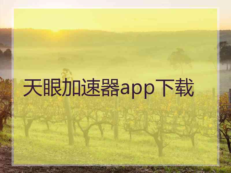 天眼加速器app下载