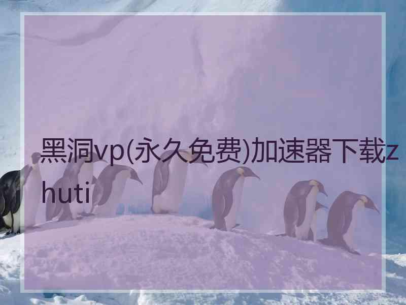 黑洞vp(永久免费)加速器下载zhuti