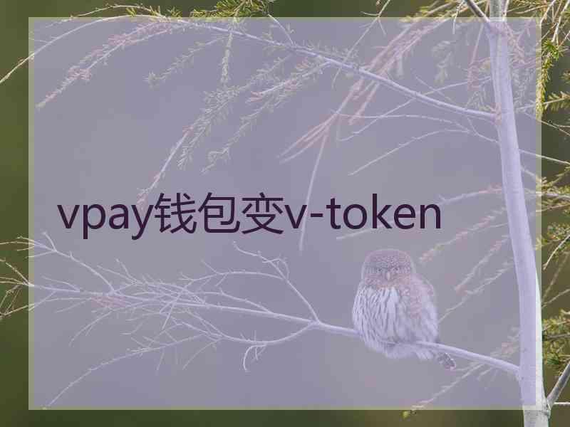 vpay钱包变v-token