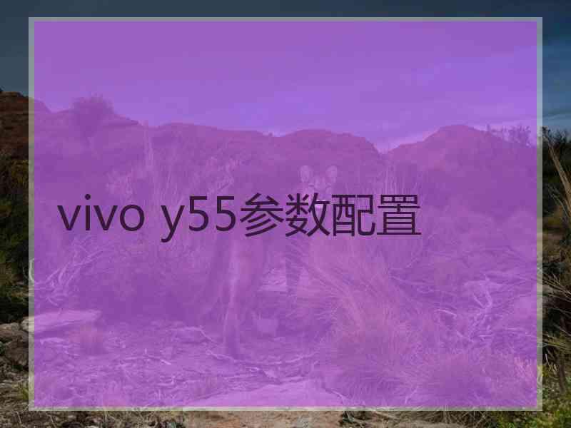 vivo y55参数配置