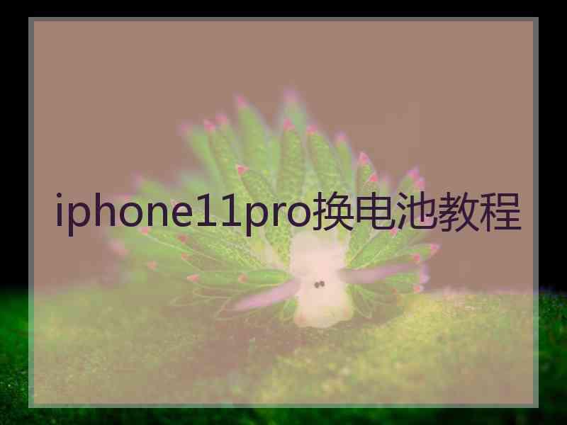 iphone11pro换电池教程