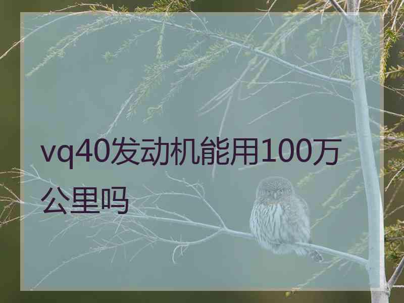 vq40发动机能用100万公里吗