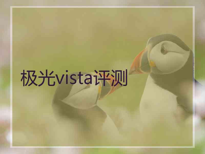 极光vista评测