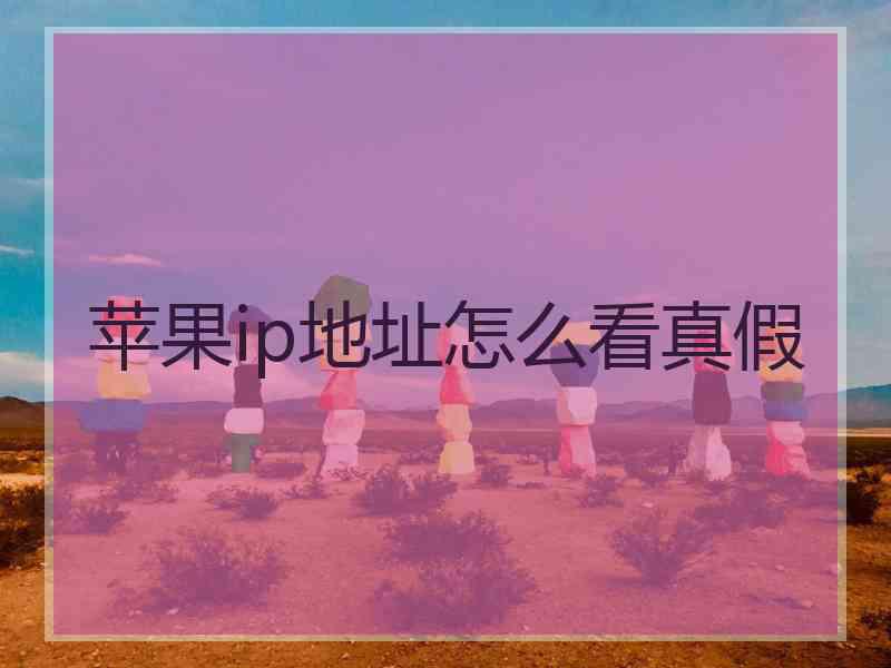 苹果ip地址怎么看真假