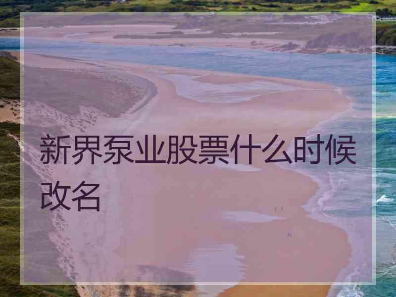 新界泵业股票什么时候改名