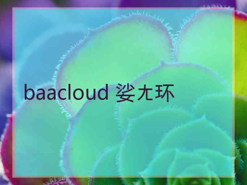 baacloud 娑ㄤ环