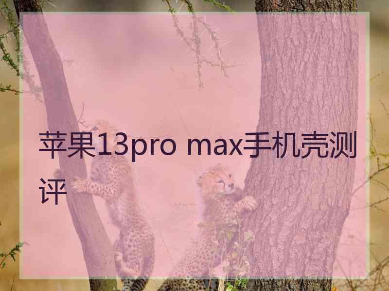 苹果13pro max手机壳测评