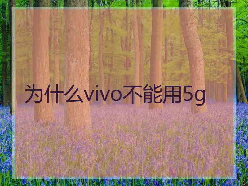 为什么vivo不能用5g