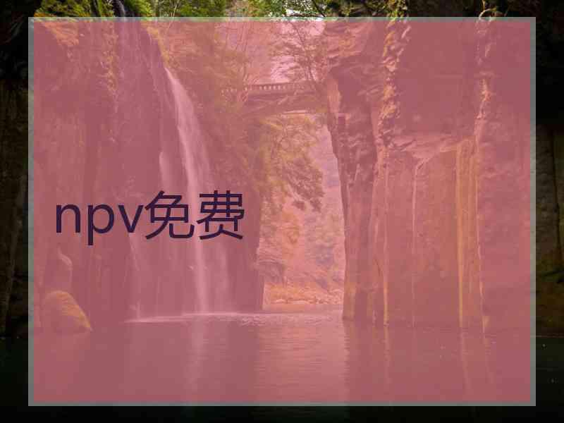 npv免费