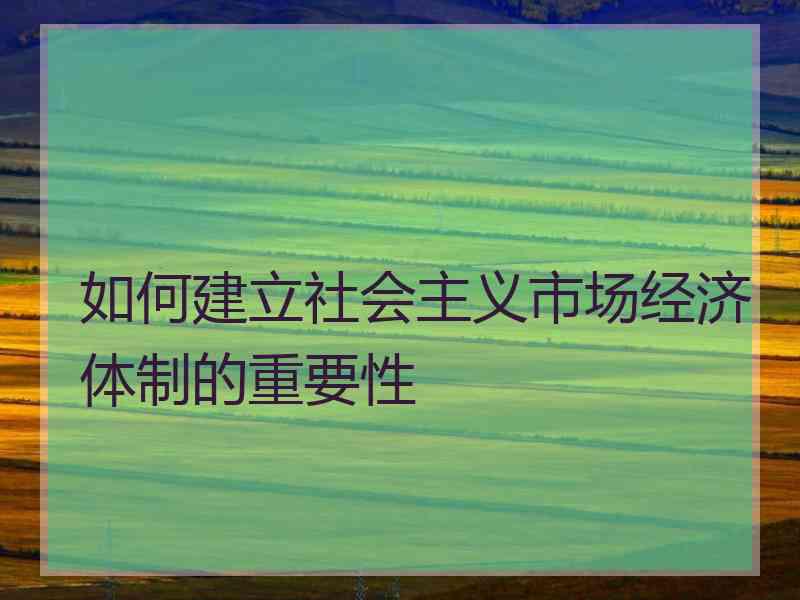 如何建立社会主义市场经济体制的重要性