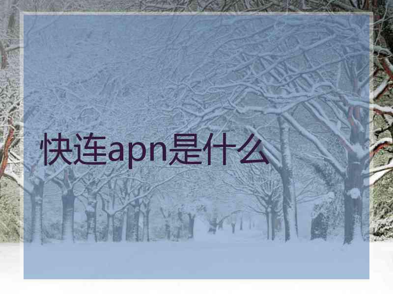 快连apn是什么