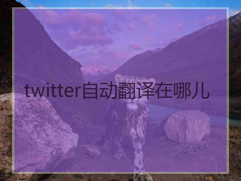 twitter自动翻译在哪儿