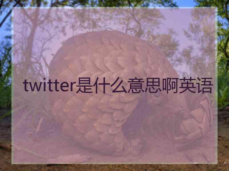 twitter是什么意思啊英语