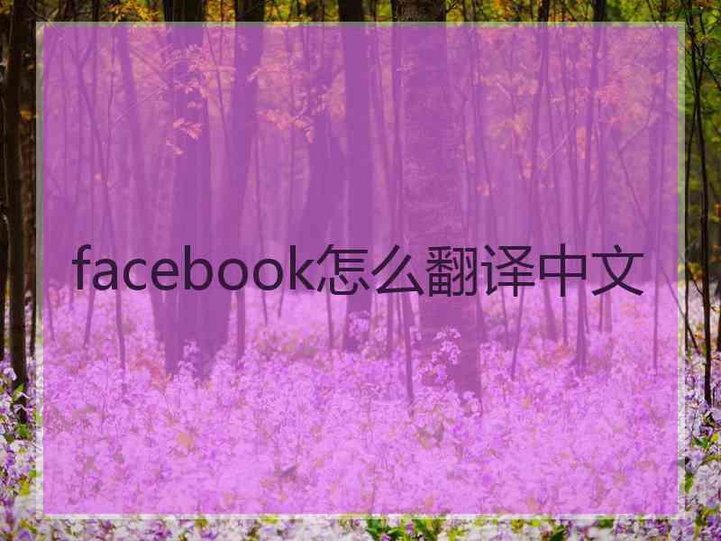 facebook怎么翻译中文