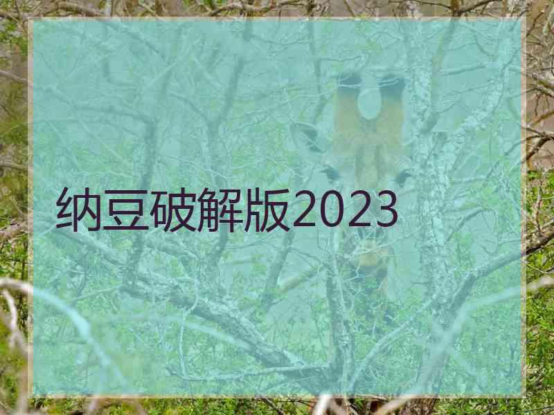 纳豆破解版2023