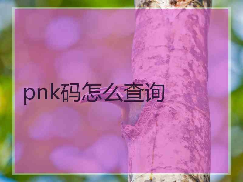 pnk码怎么查询