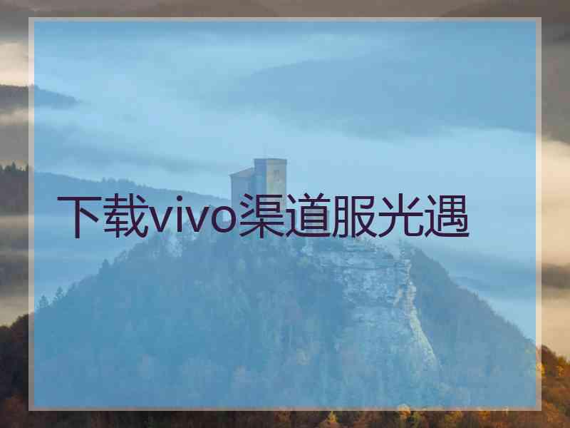 下载vivo渠道服光遇