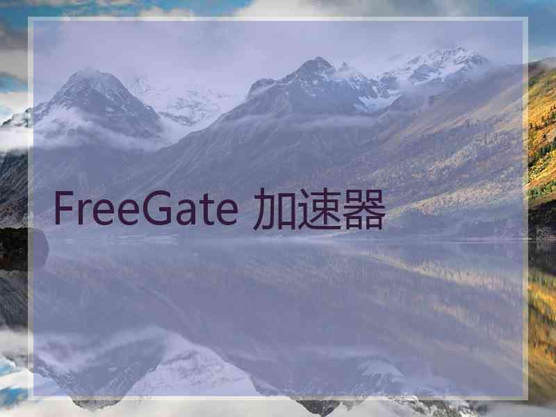 FreeGate 加速器