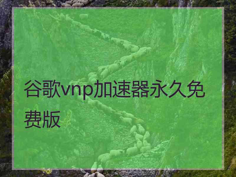 谷歌vnp加速器永久免费版